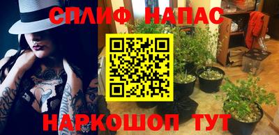 a pvp Рыбинск