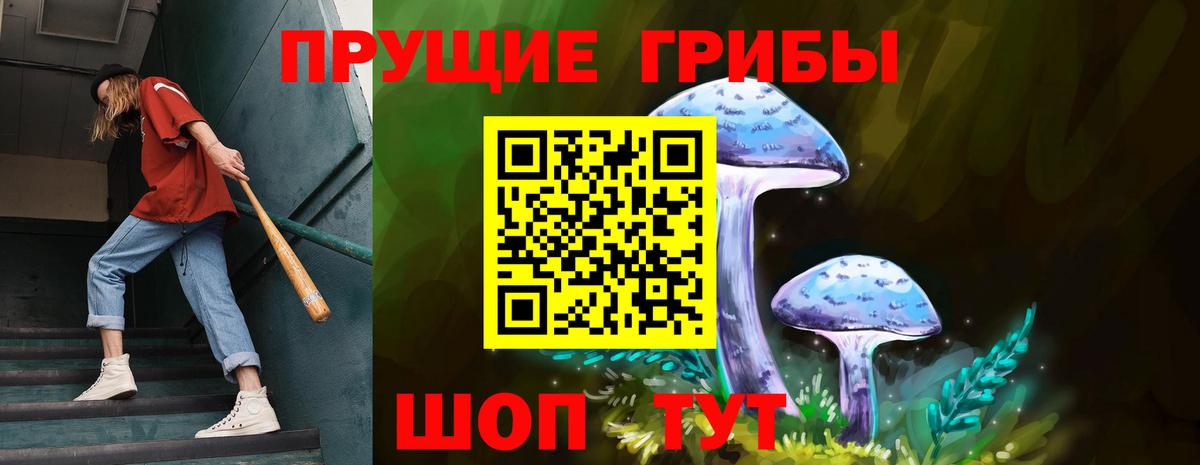 Галлюциногенные грибы прущие грибы Саранск