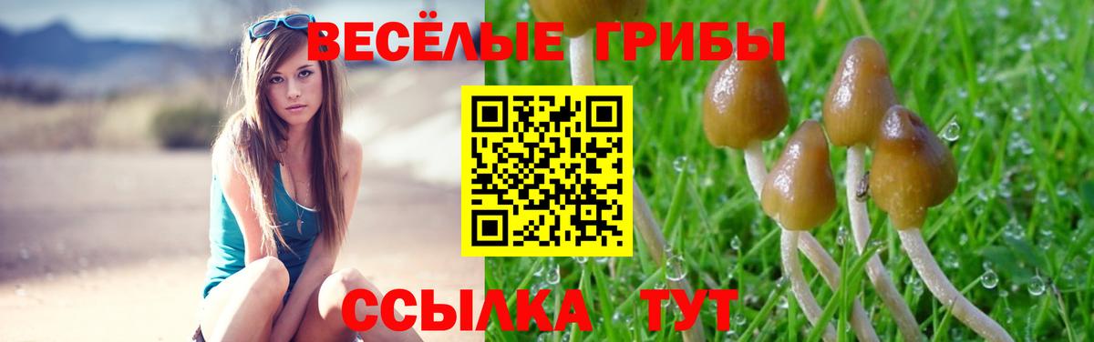 Галлюциногенные грибы GOLDEN TEACHER  Вход с VPN  Саранск 